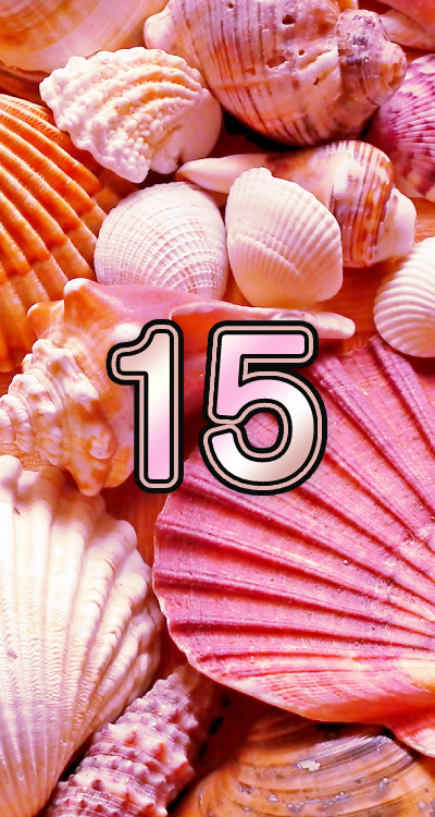 シウマの数字待ち受け 15 の無料壁紙 画面 ピンクの貝殻 Lifetime Fun