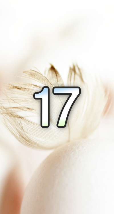 シウマの数字待ち受け「17」の無料壁紙・画面(羽根) | LIFETIME-FUN