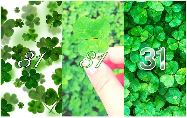 シウマの数字待ち受け 31 の無料壁紙 画面 クローバー Lifetime Fun シウマの数字待ち受け 31 の無料壁紙 画面 クローバー Lifetime Fun