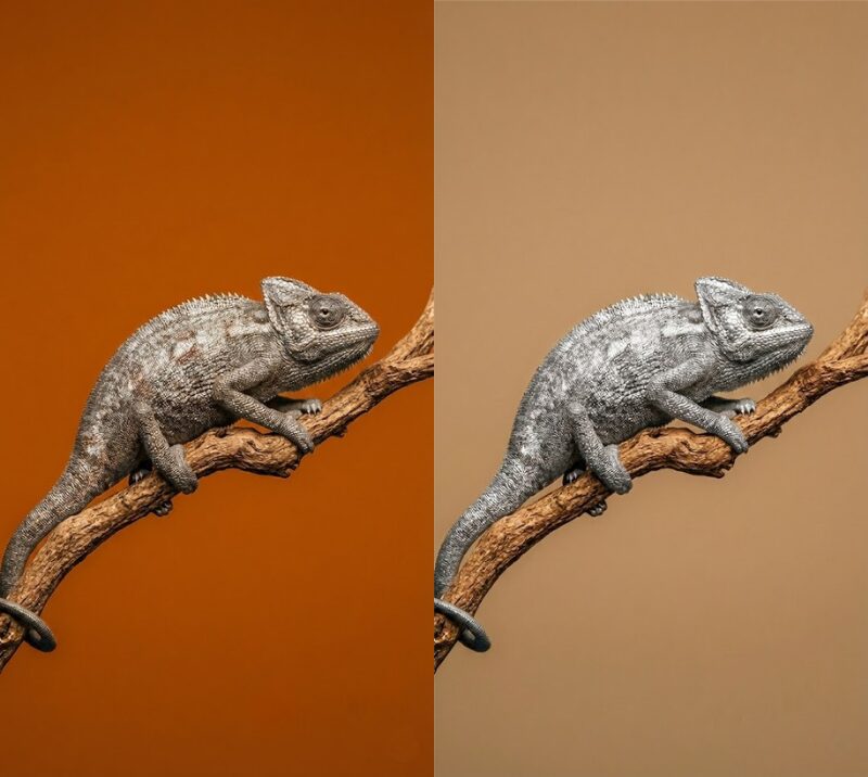 ゲッターズ飯田_銀のカメレオン座_ラッキーカラー_2026