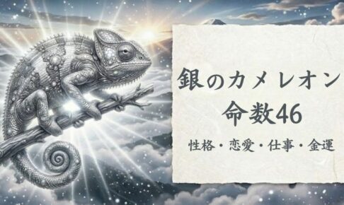 銀のカメレオン_命数46_性格_恋愛_結婚_ラッキーカラー